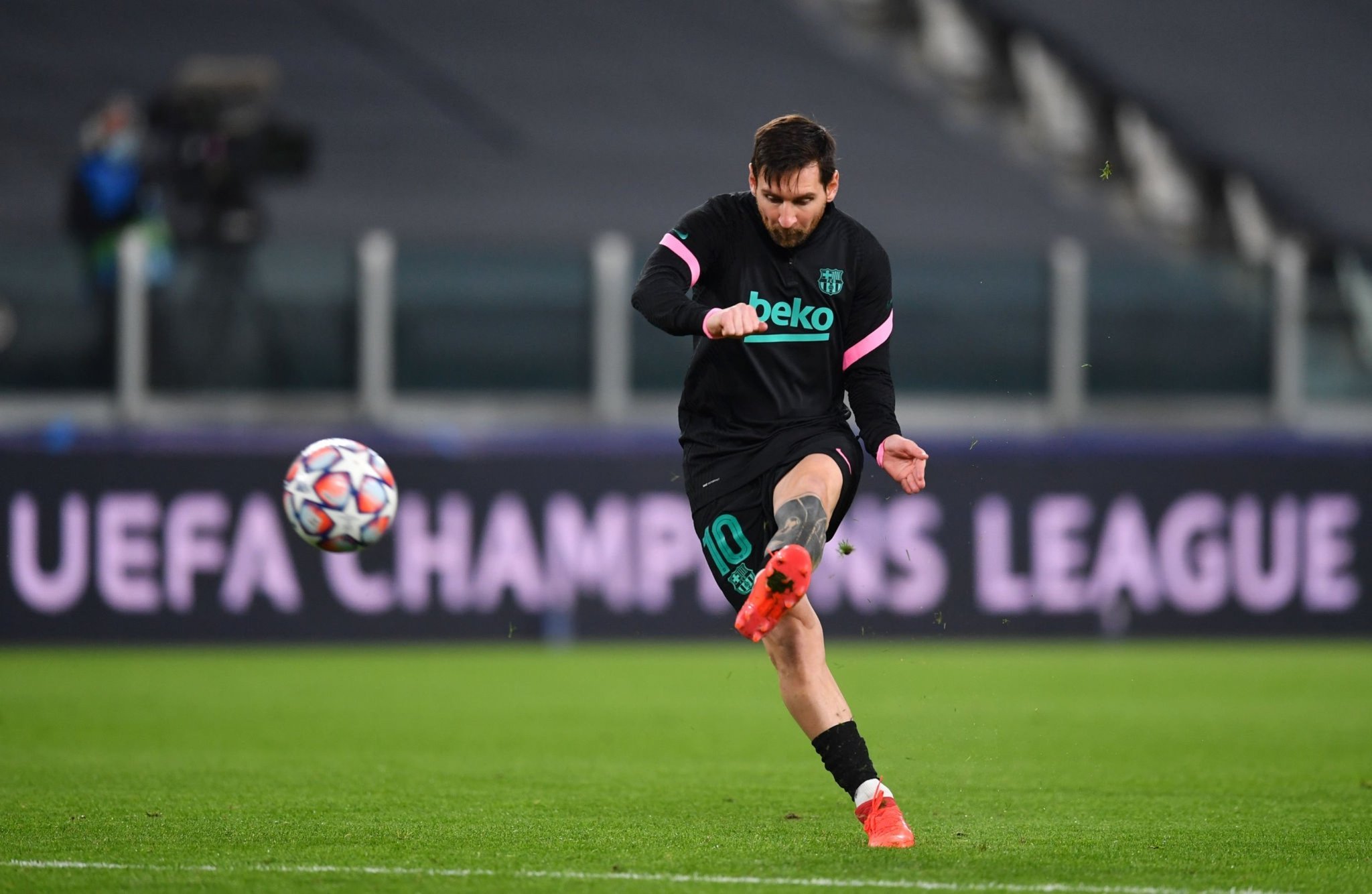 完全看好 完全看好